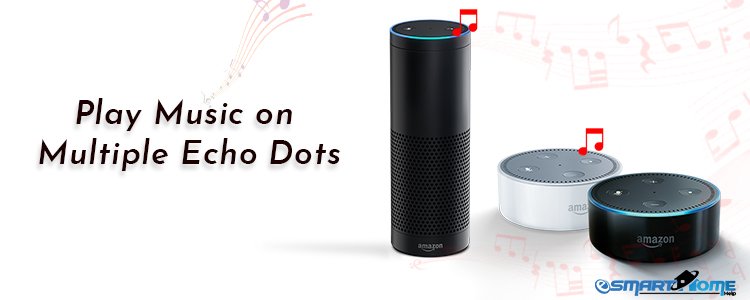 Play Music on Multiple Echo Dots