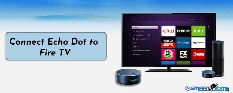 Connect Echo Dot to Fire TV