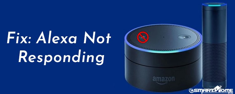 Alexa Not Responding Voice Commands